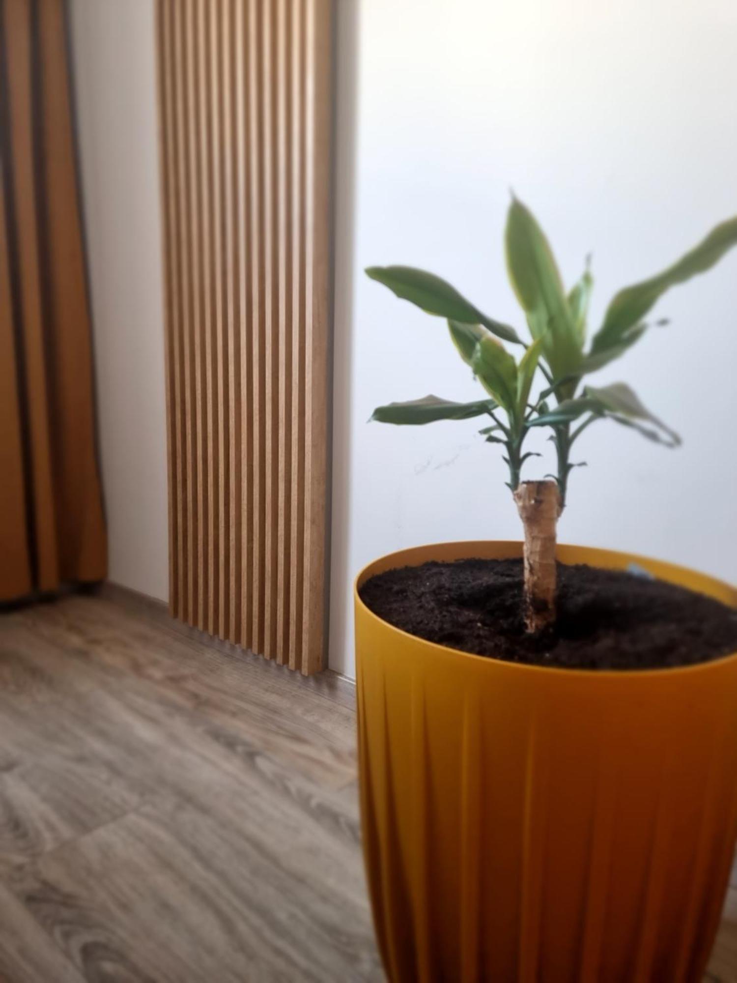 Apartament Lux Lemon Еленя-Гура Экстерьер фото